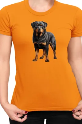 Produktbild von Damen T-Shirt Dogs Breeds Rottweiler Dog Breed 005, Lady 2XL / Orange
