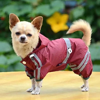 Image de Cape pour chien Burgundy M