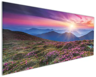 Produktbild von Wallario Küchenrückwand aus Glas, Größe: 125 x 50 cm, Motiv: Blumenbedeckte Wiese bei Sonnenuntergang | Spritzschutz | abwischbar | pflegeleicht | in