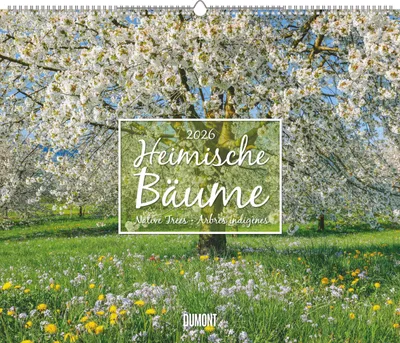 Produktbild von Heimische Bäume 2026 - Wandkalender 60x50 cm - Spiralbindung