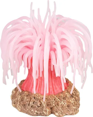 Produktbild von Aqua Della Plastikpflanze Anemone rosa