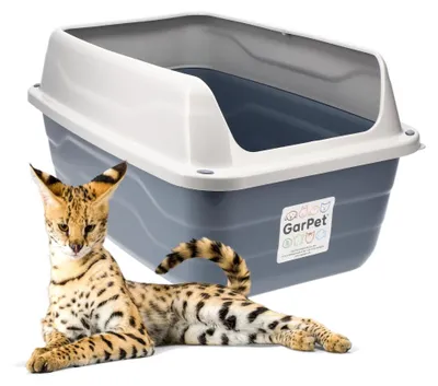 Produktbild von XXL Extra hohe Katzentoilette offene Katzenklo mit hohem Rand ohne Deckel große Katzentoilette offen Katzenklo hoher Rand