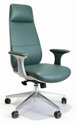 Immagine prodotto di Sedia da ufficio ergonomica, di colore verde, con braccioli e schienale regolabili