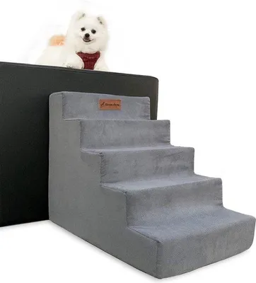 Image de Piège à chat pour animaux domestiques - Piège pour animaux de compagnie - Piège à chat