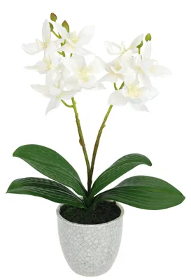 Produktbild von Kunstblume Orchidee 30cm mit Blätter im Topf Künstliche Blume Kunstorchidee Phal