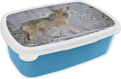 Produktbild von KitchenYeah® Lunchbox Brotzeit Brotdose 17x11 cm Wolf - Winter - Schnee Kinder Brotzeitdose - Lunch - Kunststoff - Brotbüchse - Sandwichbox - Lunchbox für Kinder