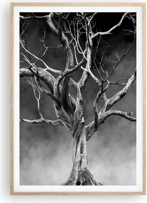 Produktbild von Gerahmtes Poster - Rahmen in heller Eiche - Schwarzweiß Äste Rauch - 70x100 cm - Wand Bild - Wanddeko - Wandbilder - Wandposter - Bilderrahmen - Bilder - Kunstdruck - Wandbild - P2NPA70x100-4346