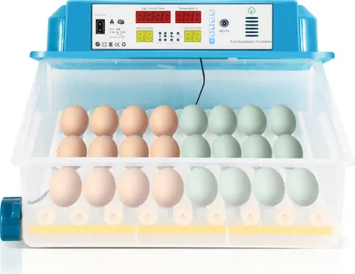 Obrázek produktu pro Jayseuw brooker Automatický brooker plně automatický 64-inkubátor s automatickým obracečem, regulací teploty a vlhkosti pro slepice husy, kachny, holuby, křepelky