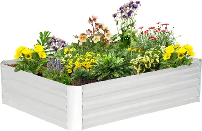A raised garden bed filled with various colorful flowers and plants, set against a white background.