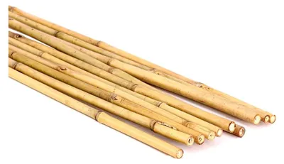 Produktbild von 15er Set Tonkin Bambusrohre 240 cm naturbelassen mit 1,6 - 1,8 cm Durchmesser