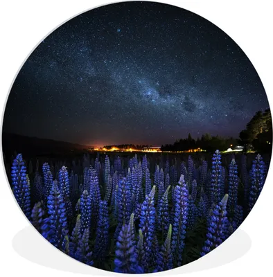 Produktbild von MuchoWow® Rundes Wandbild - Runde Bilder Sternenhimmel - Milchstraße - Blumen Ø 60 cm Kreis Wanddekoration Kunststoff - Wandkreis - Wandschmuck - Wand Kreis - Das Schlafzimmer - Die Bilder - Wandmalerei - Kunst für das Haus - das Plastik