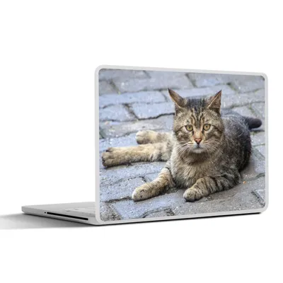 Produktbild von MuchoWow® Laptop Aufkleber Sticker Cover Katze - Tier - Braun - Mädchen - Kinder - Jungen - Kind 36.5x27.5 cm - Laptop-Sticker