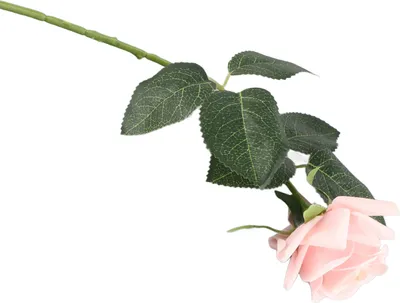 Produktbild von Feuchtigkeitsspendende Rose Simulation Blume Künstliche Rose Blume Hochzeit Gartendekoration