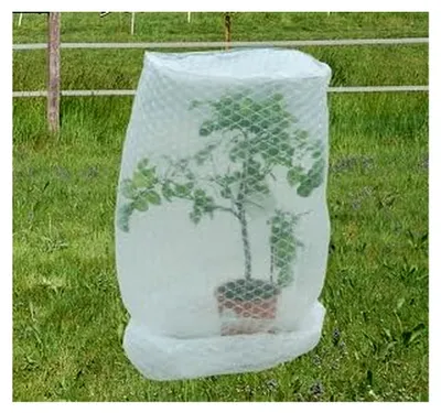 Produktbild von Luftpolsterfolie Frostschutzhaube, Noppenfolie 1,00 x 1,50 m
