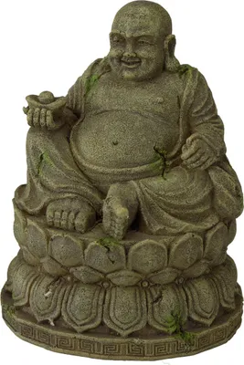 Immagine prodotto di Aqua Della - Decorazione per acquari "Bayon Buddha", dimensioni: 9,5 x 9,5 x 12,5 cm