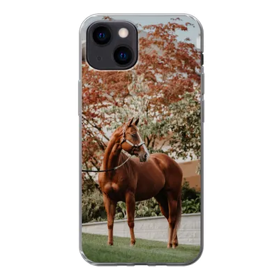 Produktbild von MuchoWow® Handyhülle Schutzhülle Hülle für iPhone 13 mini Pferd - Baum - Halfter Silikon Softcase Handy Hülle - Softcase