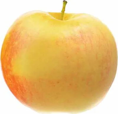 Produktbild von Malus Domestica James Grieve 130 cm / 5 Liter Topf- Apfelbaum -  Halbstamm - Topfgewachsen - Apfel James Grieves
