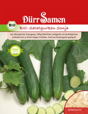 Produktbild von Salatgurke Sonja | -Salatgurkensamen von Dürr Samen