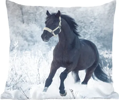 Produktbild von MuchoWow® Zierkissen Sofakissen Wohnzimmer Dekokissen 45x45 cm Pferd - Schnee - Wald - Schlafpolster - Polster für das Sofa