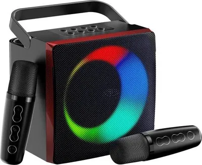 Immagine prodotto di Sistema karaoke wireless con 2 microfoni e luci