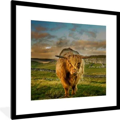 Produktbild von MuchoWow® Gerahmtes Poster Schottischer Highlander - Gras - Berg 40x40 cm - Poster mit Schwarzem Bilderrahmen Wandposter Rahmen Foto Bilder - Poster - Plakat im Rahmen