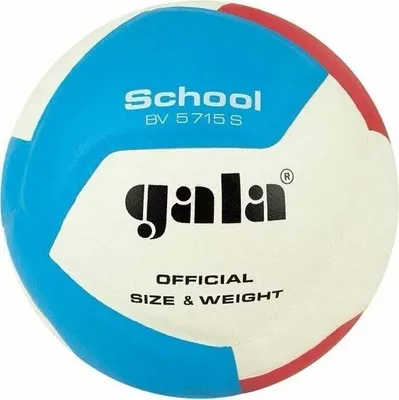Produktbild von Gala School 12 Hallenvolleyball