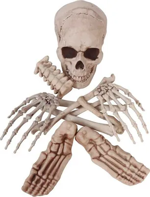 Immagine prodotto di Scheletro decorazione Halloween spaventoso teschio osso set festa, colore: beige
