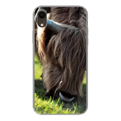 Produktbild von MuchoWow® Handyhülle Schutzhülle Hülle für iPhone XR Schottischer Highlander - Hörner - Sonne Silikon Softcase Handy Hülle - Schutzdeckel