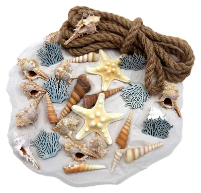 Produktbild von Tischdekoration Streudeko Maritim Mix Sand Schnecken Seesterne Korallen Seil Deko 750g