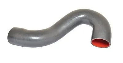 Image de BUGIAD Tuyau d'air de suralimentation