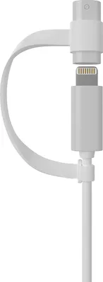 Image de Cyoo Apple Pencil Lightning Charging Adapter + Strap