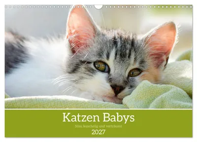 Produktbild von Katzenbabys (Wandkalender 2027 DIN A3 quer), CALVENDO Monatskalender