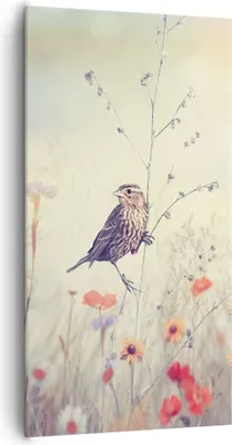 Produktbild von Bild auf Leinwand - Leinwandbild - Einteilig - Vogel Wildschwein Wiese - 65x120cm - Wand Bild - Wanddeko - Wandbilder - Leinwanddruck - Bilder - Wanddekoration - Leinwand bilder - PA65x120-4279