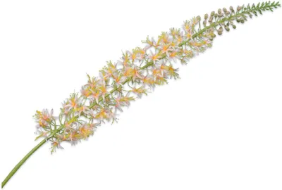 Produktbild von Kunstblume Eremurus, perzich, 119 cm, für die Dekoration