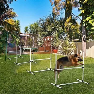 Produktbild von Steckhürdenset höhenverstellbar, Hunde Agility Set 4 Hürden, Slalomstangen Kunststoff, Weiß  |  mit Tragetasche  |  4 kg  |  99 x 65 x 94 cm