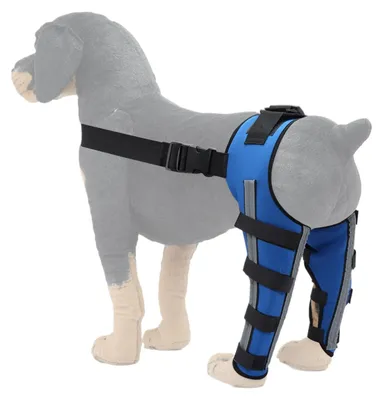 Produktbild von Verstellbare Hüftbandage für Hunde zur Unterstützung