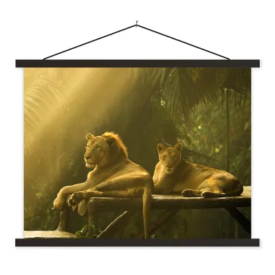 Produktbild von MuchoWow® Textilposter Löwen - Dschungel - Sonne 40x30 cm mit schwarzem Rahmen - Dekorationen