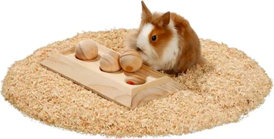 Produktbild von Karlie Brain Train Board - Nagerspielzeug - 3 Kugeln - Holz - Natur - 30x15x6 cm