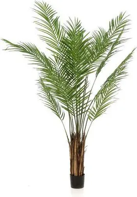 Produktbild von Kunstpflanze Areca Lutescens Goldpalme 180cm künstliche Palme Deko Dekopflanze