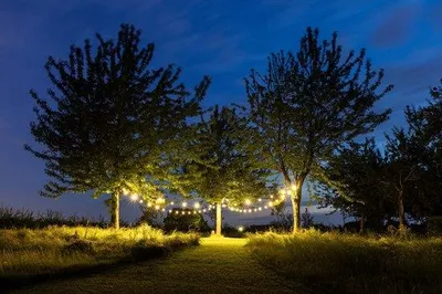 Immagine prodotto di Ghirlanda luminosa da 50 LED, luce bianca calda, 25 m, per esterni