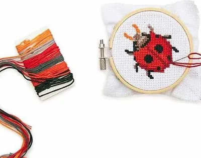 Image de Kit de broderie - Dessiner une coccinelle - Ø 8 cm
