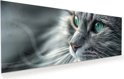 Produktbild von Glasbild 150x60cm in XXL für Wohnzimmer, Schlafzimmer Motiv Nahaufnahme Katze