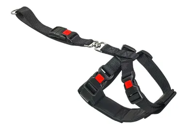 Zdjęcie produktu dla Karlie samochodowe szelki bezpieczeństwa XS (25-40cm)