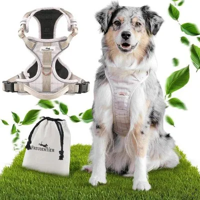 Image de Harnais respirant pour chien, robuste, anti-traction, taille moyenne