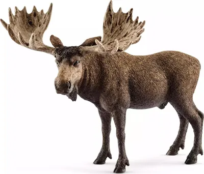 Produktbild von Schleich Wild Life - 14781 Elch Bulle, ab 3 Jahre