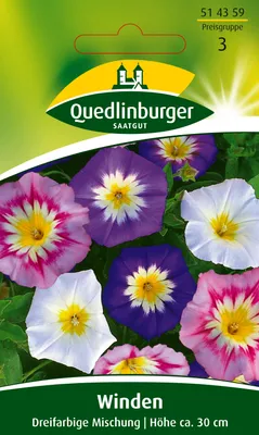 Produktbild von Quedlinburger Saatgut - Winde dreifarbige Mischung - Samen - 514359