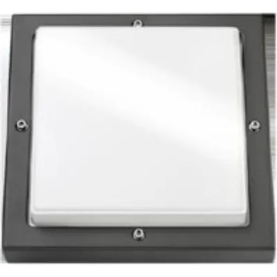 Obrázek produktu pro LED venkovní světlo 3000K - Stropní/nástěnné svítidlo 1x14W 623194
