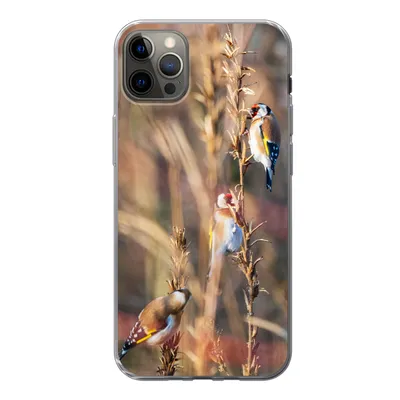 Produktbild von MuchoWow® Handyhülle Schutzhülle Hülle für iPhone 12 Pro Max Vögel - Äste - Wald Silikon Softcase Handy Hülle - Hartschale