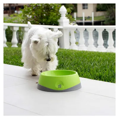 Produktbild von Hundetränke und Fressnapf zur Mundhygiene