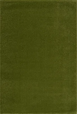 Produktbild von Teppich UNI 9509 GREEN 120x170